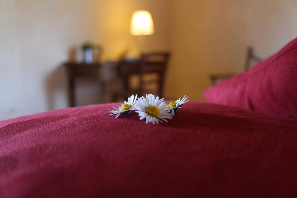 Agriturismo Casavecchia Фильине-Вальдарно Экстерьер фото